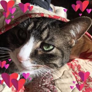 Meet your Posher, Dona